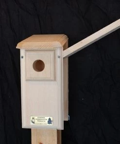 Coveside Eastern Bluebird House Kit