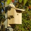 Bird Houses Heartwood Chickadee Joy Box