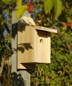 Bird Houses Heartwood Chickadee Joy Box