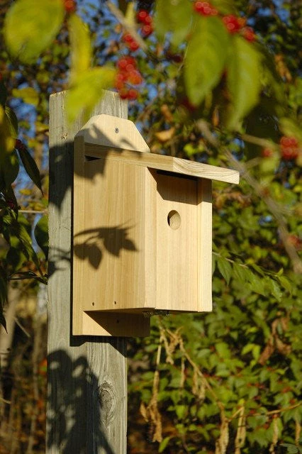 Bird Houses Heartwood Chickadee Joy Box 1 Bird Houses Heartwood Chickadee Joy Box