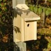 Heartwood Wren Joy Box Bird Houses
