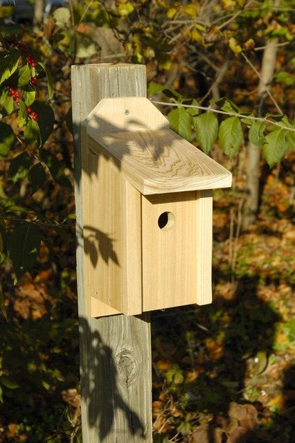 Heartwood Wren Joy Box Bird Houses 1 Heartwood Wren Joy Box Bird Houses