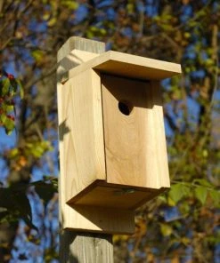 Heartwood Eastern Bluebird Joy Box Bird Houses
