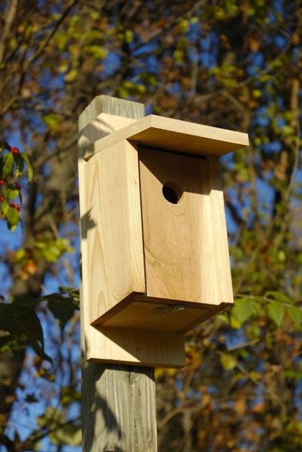 Heartwood Eastern Bluebird Joy Box Bird Houses 1 Heartwood Eastern Bluebird Joy Box Bird Houses