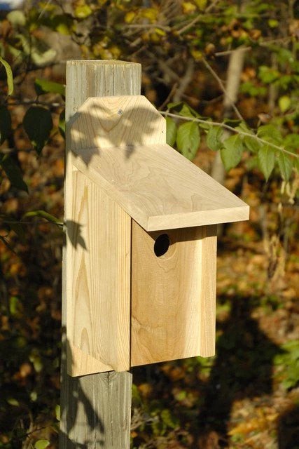Heartwood Western Bluebird Joy Box Bird Houses 1 Heartwood Western Bluebird Joy Box Bird Houses