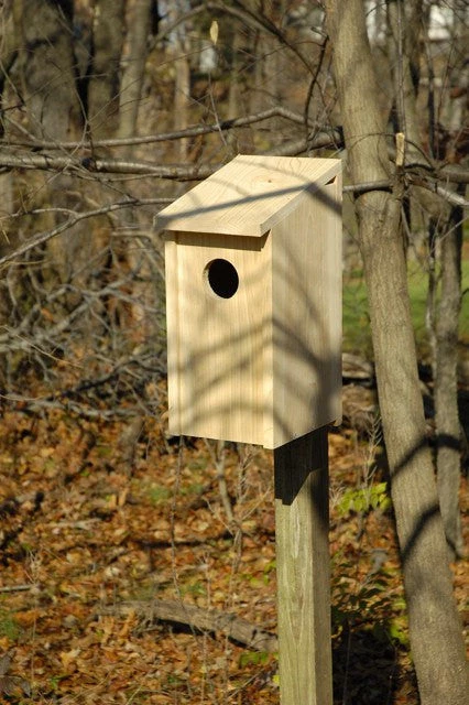 Heartwood Screech Owl Box Bird Houses 1 Heartwood Screech Owl Box Bird Houses