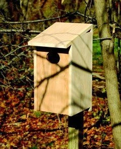 Bird Houses Heartwood Wood Duck Joy Box