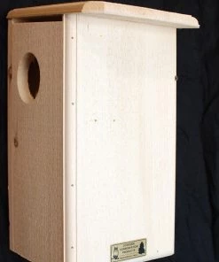 Coveside Squirrel House Squirrel Feeders