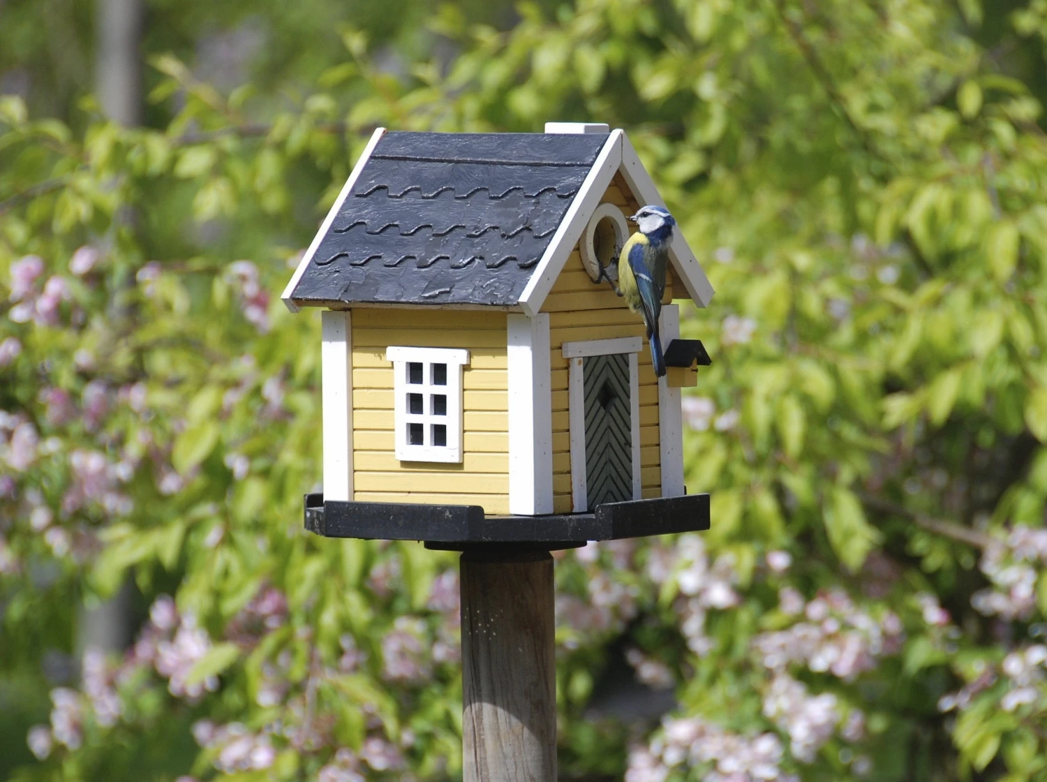 BIRDHOUSES Sales Shop -BIRDHOUSES Sales Shop 2222