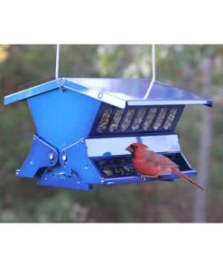 Woodlink / Audubon Electric Blue Absolute® II Squirrel-Resistant Feeder