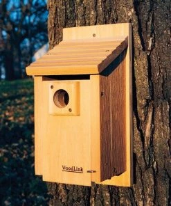 Woodlink / Audubon Woodlink Traditional Bluebird House Bird Houses