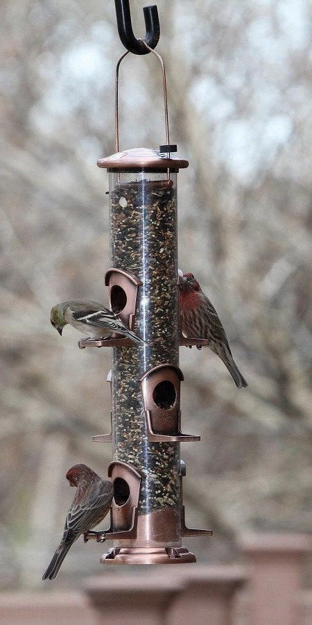 Woodlink / Audubon Bird Feeders Woodlink Coppertop 6 Port Bird Feeder - Sunflower 2 Woodlink / Audubon Bird Feeders Woodlink Coppertop 6 Port Bird Feeder - Sunflower