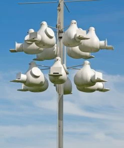 Purple Martin Deluxe Gourd Rack System With 12 Troyer Gourds