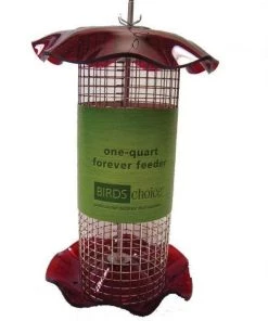 Birds Choice 1 Quart Sunflower Forever Feeder 7 Birds Choice 1 Quart Sunflower Forever Feeder