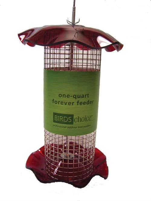 Birds Choice 1 Quart Sunflower Forever Feeder 4 Birds Choice 1 Quart Sunflower Forever Feeder