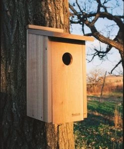 Woodlink / Audubon Bird Houses Woodlink Flicker House