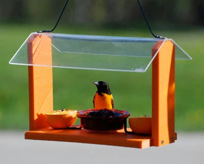 Woodlink / Audubon Woodlink Going Green Recycled Oriole Feeder 1 Woodlink / Audubon Woodlink Going Green Recycled Oriole Feeder