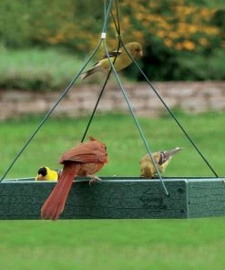 Woodlink / Audubon Bird Feeders Woodlink Going Green Platform Bird Feeder