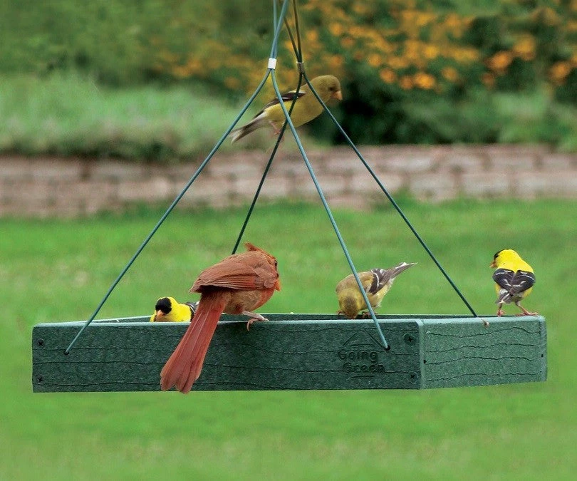 Woodlink / Audubon Bird Feeders Woodlink Going Green Platform Bird Feeder 2 Woodlink / Audubon Bird Feeders Woodlink Going Green Platform Bird Feeder