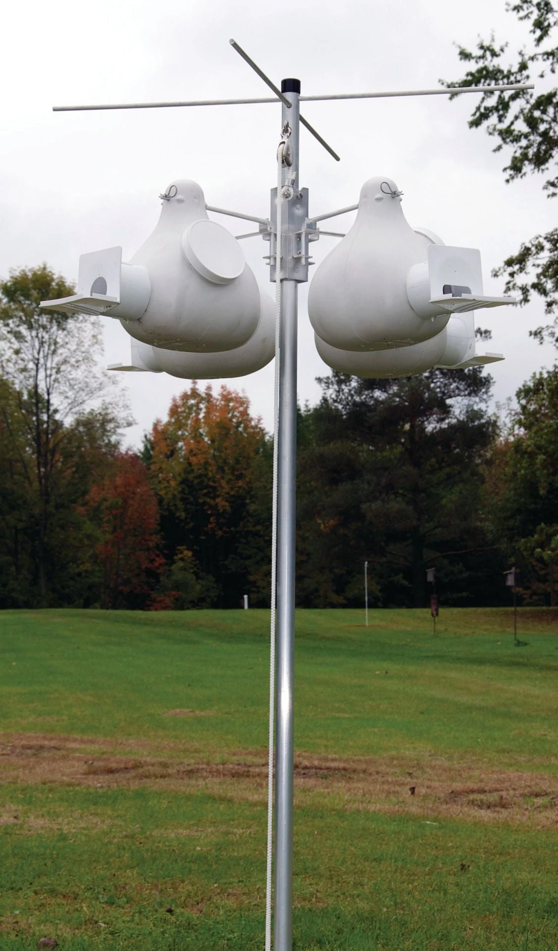 Troyer Purple Martin Starter Gourd Rack 4 Unit System 1 Troyer Purple Martin Starter Gourd Rack 4 Unit System