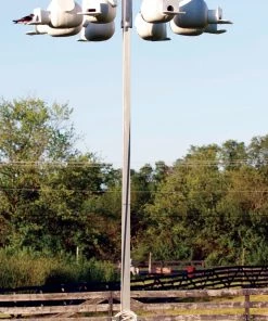 Troyer Purple Martin Deluxe Rack System With 8 Gourds Purple Martin Houses