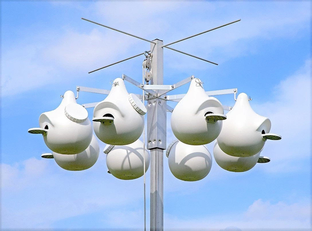 Troyer Purple Martin Houses Purple Martin 8 Rack System Without Gourds 1 Troyer Purple Martin Houses Purple Martin 8 Rack System Without Gourds