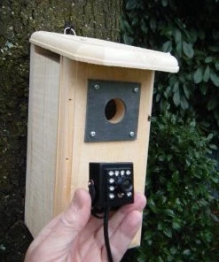 Birdhouse Spy Cam Birdhouse With Hawkeye HD Camera