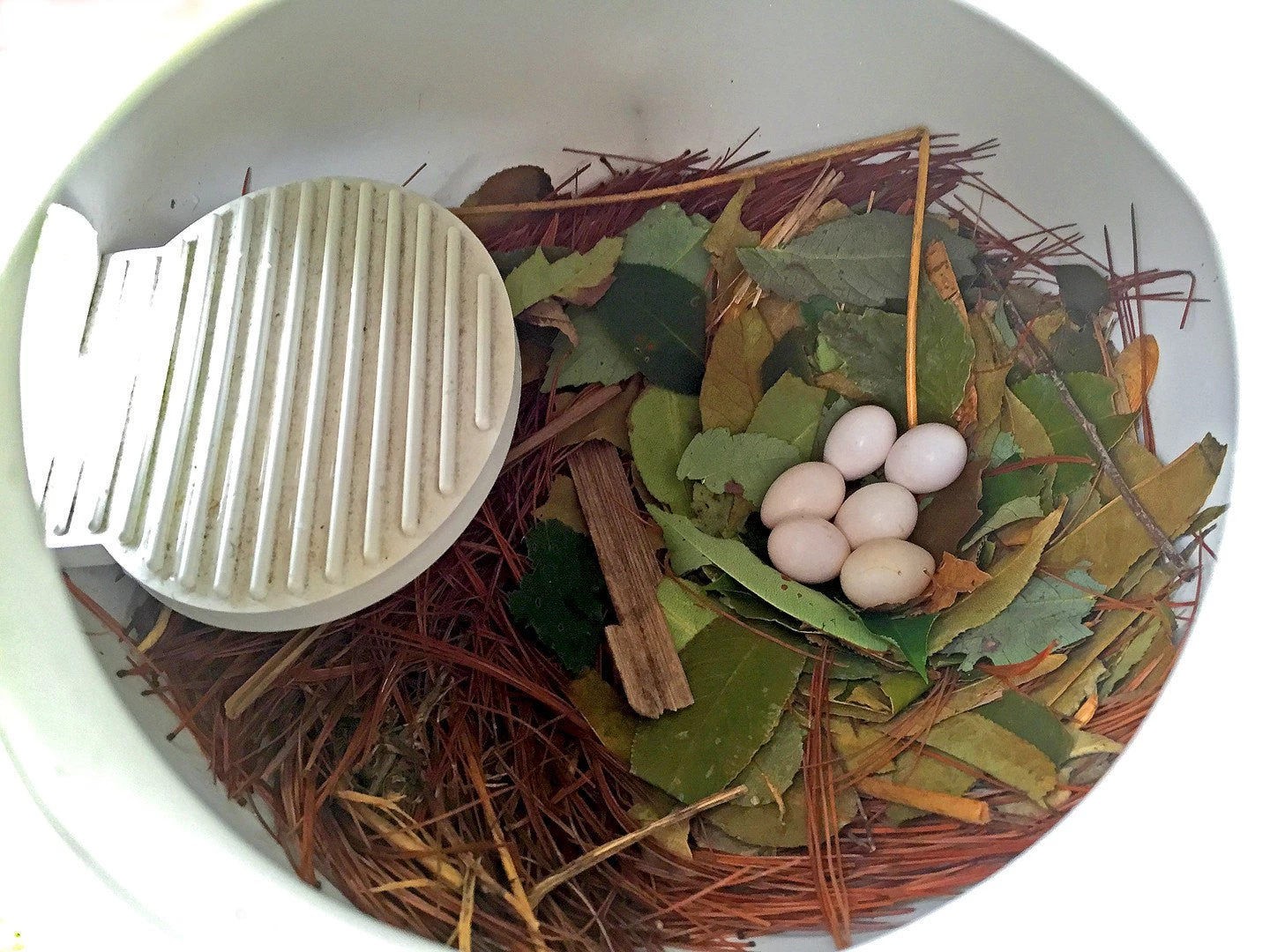 Troyer Purple Martin SuperGourd Purple Martin Houses 5 Troyer Purple Martin SuperGourd Purple Martin Houses