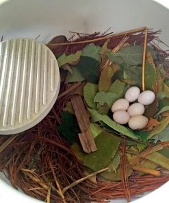 Troyer Bird Houses SuperGourd For Swallows, Wrens And Bluebirds