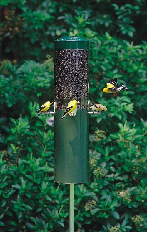 Birds Choice Classic Feeder W/ Baffle And Pole 1 Birds Choice Classic Feeder W/ Baffle And Pole