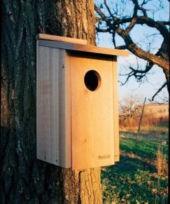 Woodlink / Audubon Bird Houses Woodlink Screech Owl Box