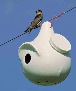 Troyer Purple Martin SuperGourd Purple Martin Houses 7 Troyer Purple Martin SuperGourd Purple Martin Houses