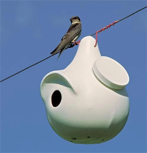 Troyer Purple Martin SuperGourd Purple Martin Houses 3 Troyer Purple Martin SuperGourd Purple Martin Houses