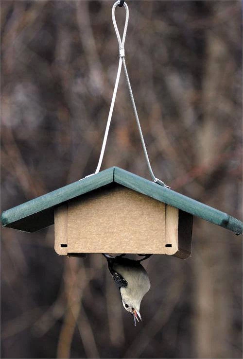 Birds Choice Recycled Single Cake Upside Down Suet Feeder 1 Birds Choice Recycled Single Cake Upside Down Suet Feeder