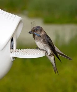 Troyer Purple Martin Houses Heavy-Duty Bolt-on Porches For Crescent SuperGourds 9 Troyer Purple Martin Houses Heavy-Duty Bolt-on Porches For Crescent SuperGourds