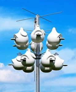 Troyer Purple Martin Houses Purple Martin Deluxe Gourd Rack System With 12 SuperGourds