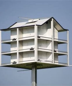 Hilltop Trendsetter Purple Martin Houses Trendsetter Purple Martin House 12 Room