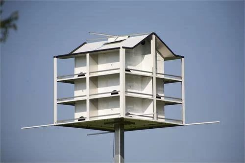 Hilltop Trendsetter Purple Martin Houses Trendsetter Purple Martin House 12 Room 1 Hilltop Trendsetter Purple Martin Houses Trendsetter Purple Martin House 12 Room