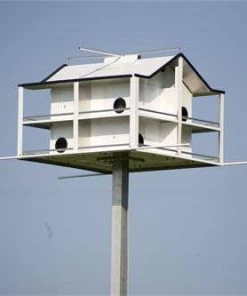 Hilltop Trendsetter Trendsetter 8 Martin House System Purple Martin Houses