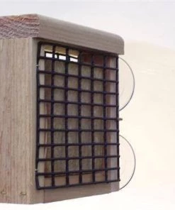 Bird Feeders Birds Choice Window Mount Suet Feeder