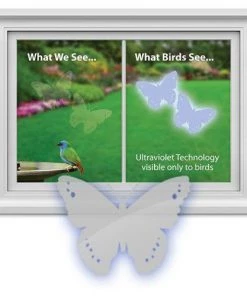 Window Alert - Bird Strike Prevention Bird Feeder Accessories