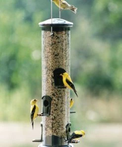 Woodlink / Audubon Woodlink Mega Seed Tube Feeder Bird Feeders