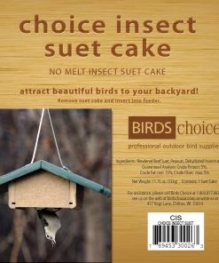 Bird Feeder Accessories Birds Choice Insect Suet Cake - No Melt 12 Pack