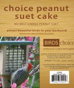 Birds Choice Peanut Suet Cake - 12 Pack