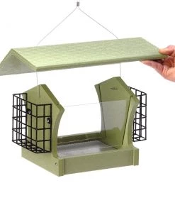 Birds Choice GREEN SOLUTIONS HOPPER FEEDER WITH SUETS - 3 QUART 5 Birds Choice GREEN SOLUTIONS HOPPER FEEDER WITH SUETS - 3 QUART