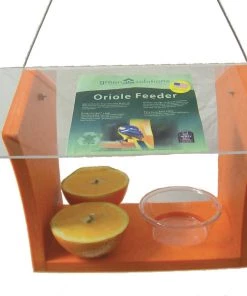 Birds Choice Green Solutions Oriole Feeder Bird Feeders