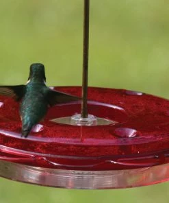 Birds Choice Hummerfest Feeder 12oz. Bird Feeders