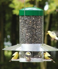 Bird Feeders Birds Choice Hanging Classic Feeder W/ Baffle/Weatherguard