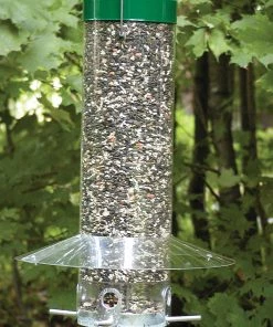 Bird Feeders Birds Choice Hanging Classic Feeder W/ Baffle/Weatherguard