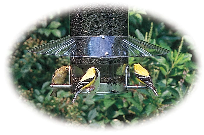 Birds Choice Classic Feeder Weatherguard 1 Birds Choice Classic Feeder Weatherguard